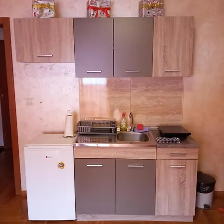 Radmanovac Guest house Vrnjacka Banja